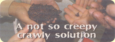 Oshawa This Week Worms Not so creepy