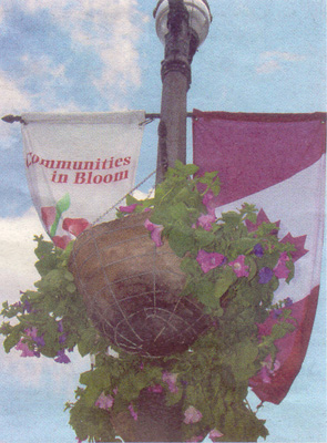 Community in Blooms Banners